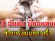 10 อันดับ ”ยี่ห้อแชมพู” ช่วยเร่งผมยาวเร็ว หมดปัญหาผมยาวช้าอีกต่อไป