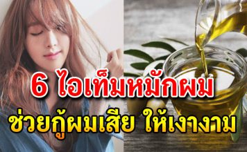 6 ไอเทมหมักผม สูตรเด็ด จากธรรมชาติ ช่วยกู้ผมเสียให้มีน้ำหนัก เงางาม